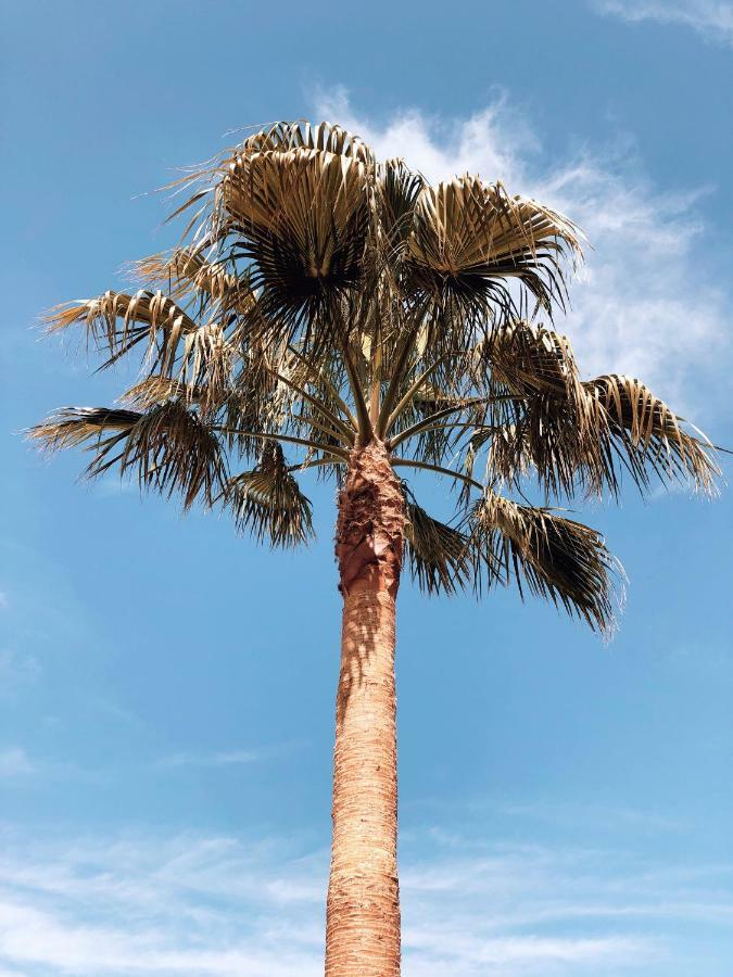 Villa Fernweh - Delta De L'Ebre ริวมาร์ ภายนอก รูปภาพ